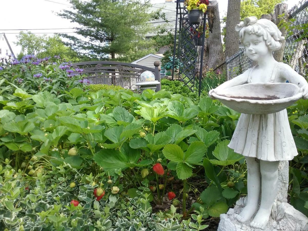 Hanover House Bed And Breakfast Niagara Falls Exteriér fotografie